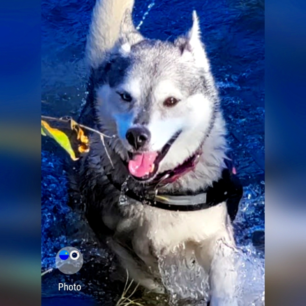 Meet your Posher, Cynthia